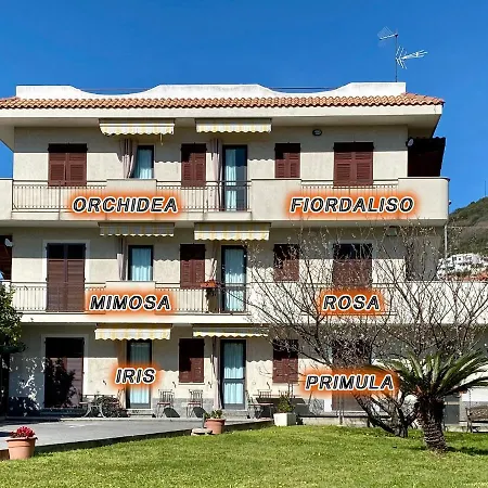 I Fiori Di Pietra Pietra Ligure