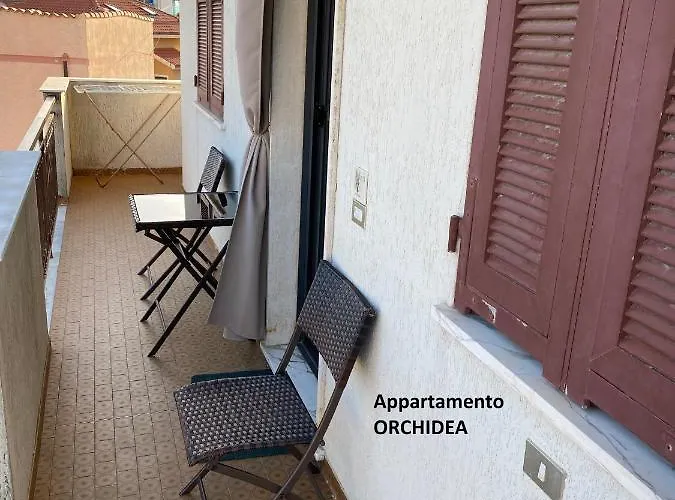 I Fiori Di Pietra *